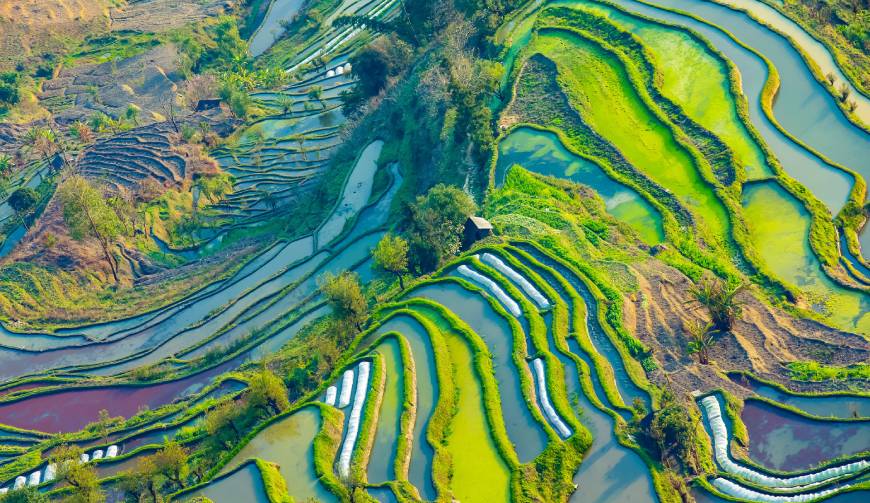 走进红山区TVC拍摄：解锁本地化场景与创意镜头的完美融合